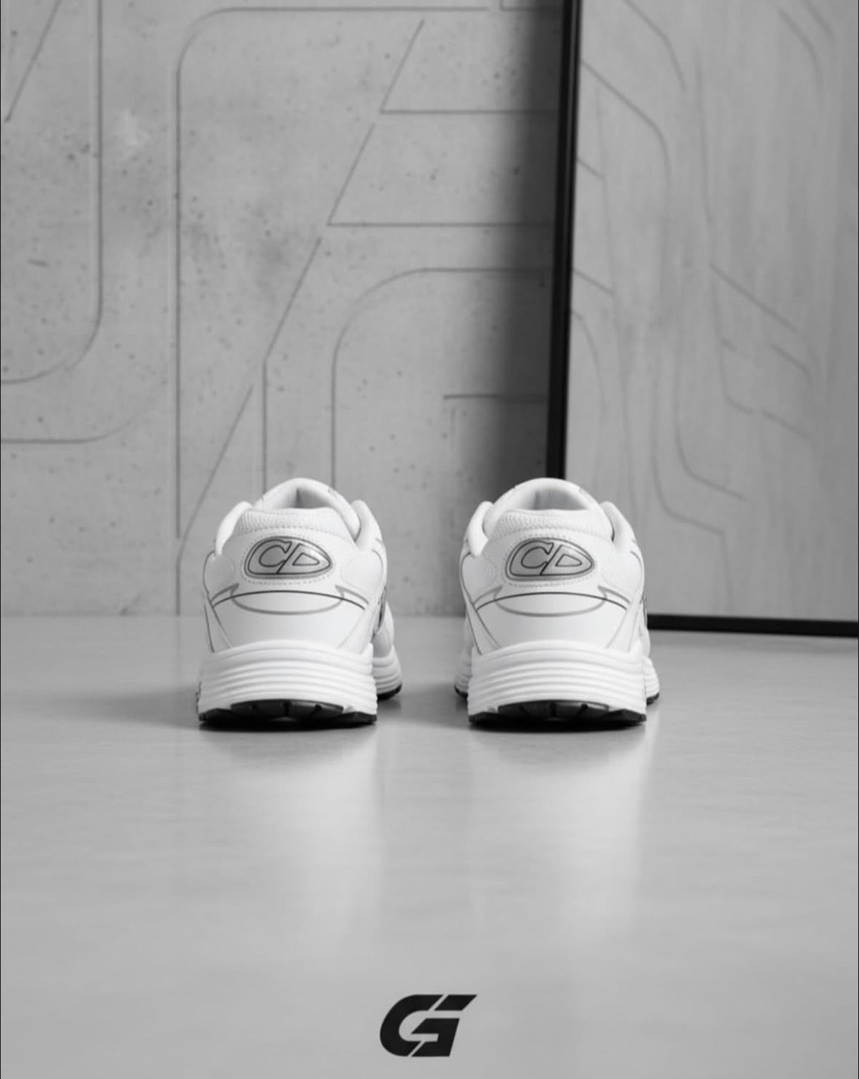 Zapatillas Dior B30