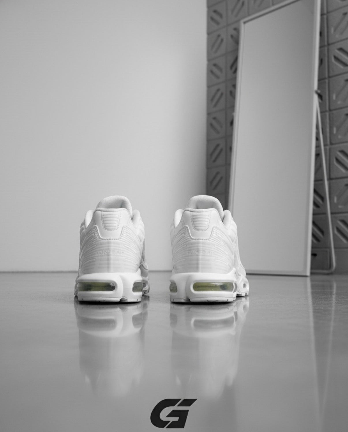 Zapatillas Nike Tn Plus