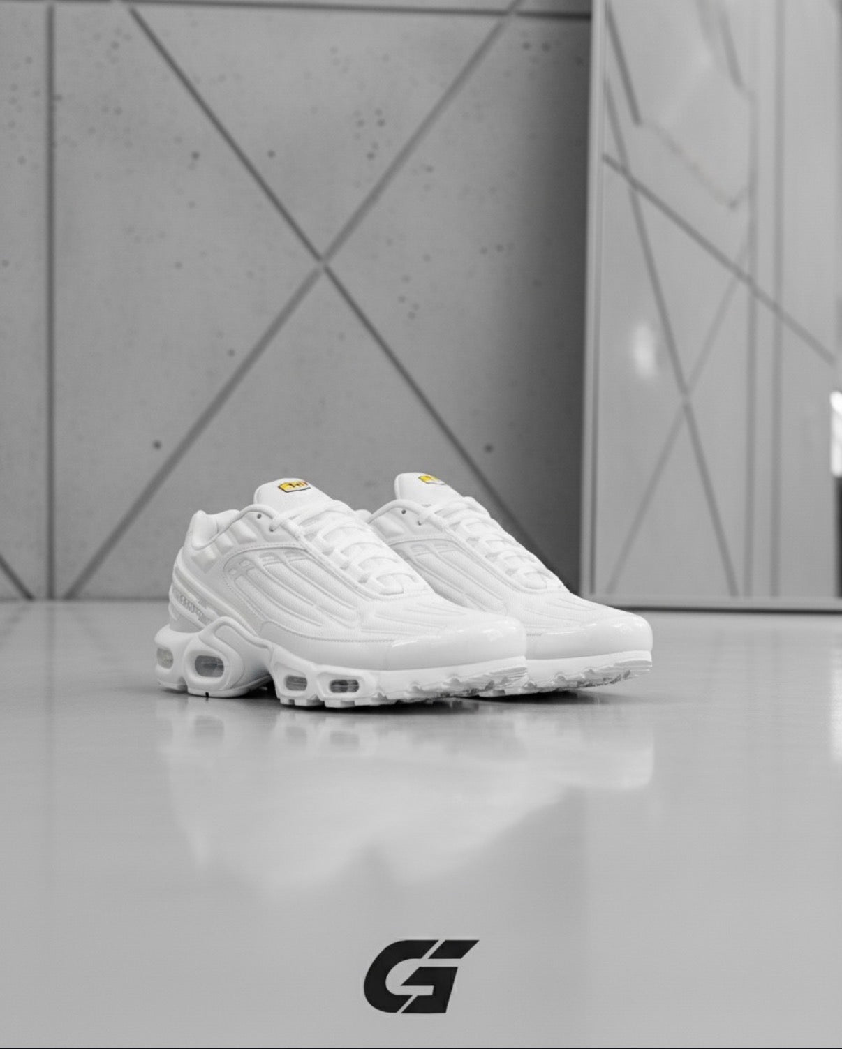Zapatillas Nike Tn Plus