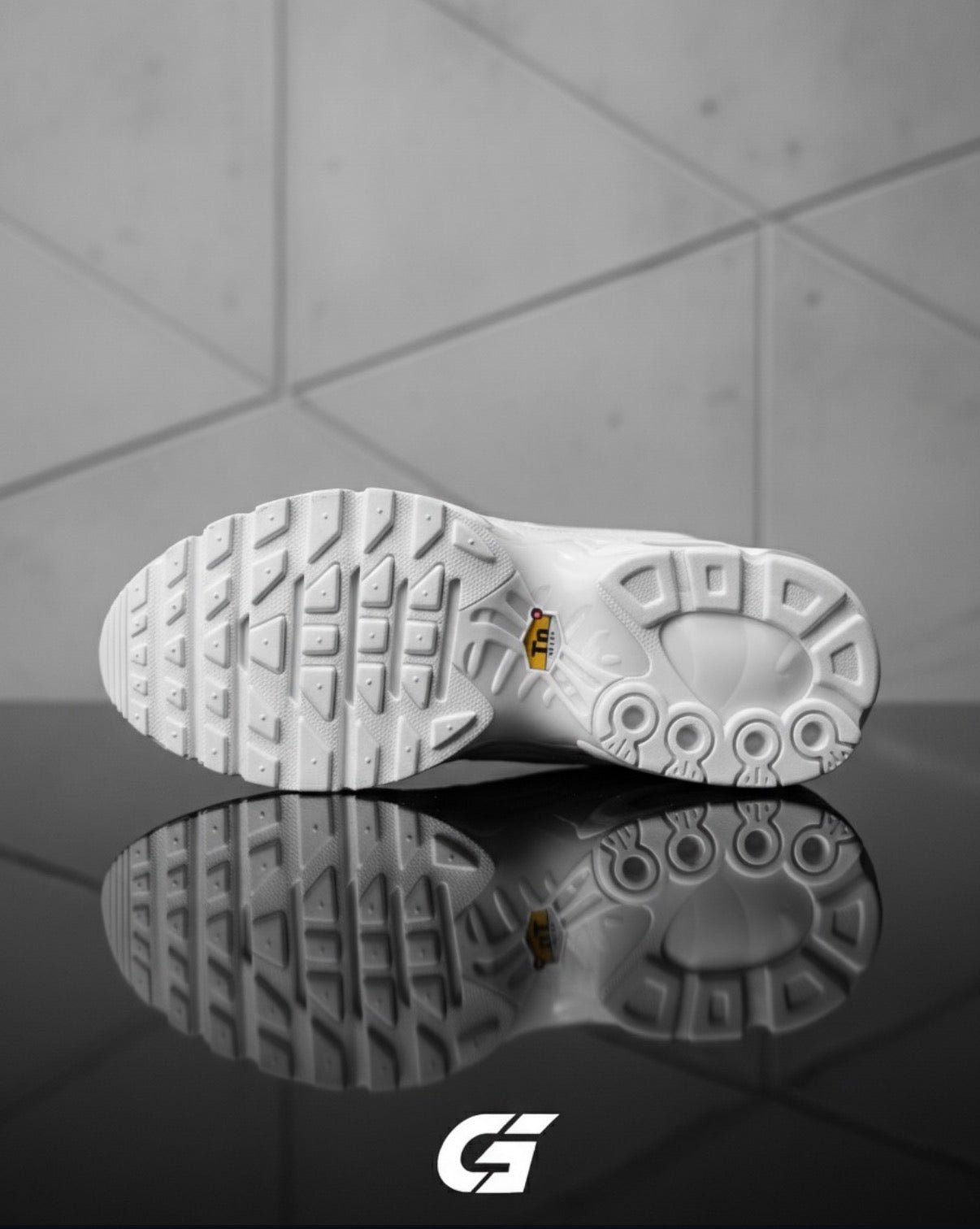 Zapatillas Nike Tn Plus